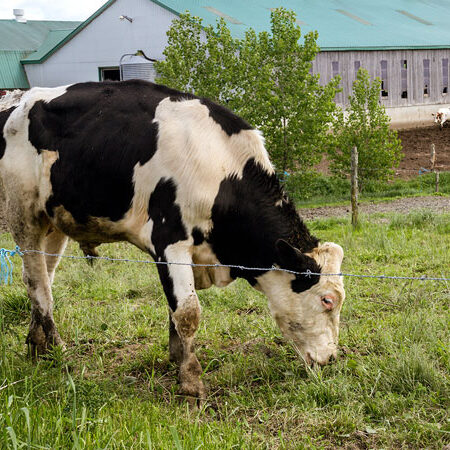 Transformer les déchets organiques en biogaz Transformer les déchets organiques en biogaz
