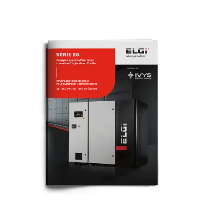 thumbnail of Brochure de la série EG ELGI